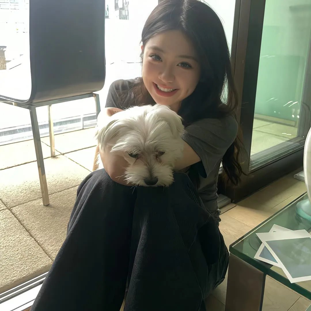 当狗爱上猫粤语